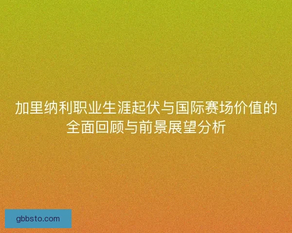 加里纳利职业生涯起伏与国际赛场价值的全面回顾与前景展望分析